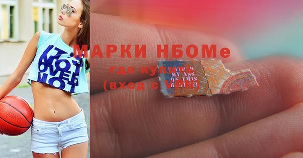 гашик Елизово