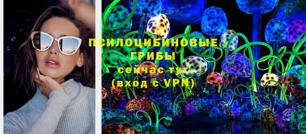 apvp Елабуга