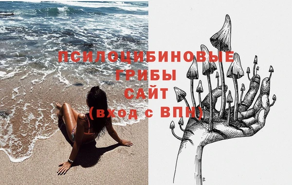 apvp Елабуга