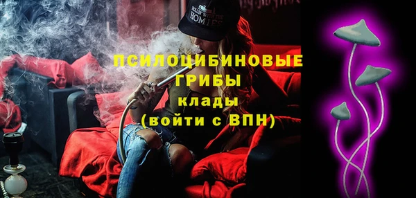 марки lsd Ельня