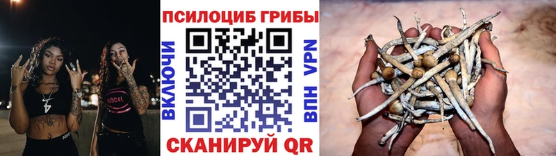Галлюциногенные грибы мухоморы Купить закладки Среднеколымск